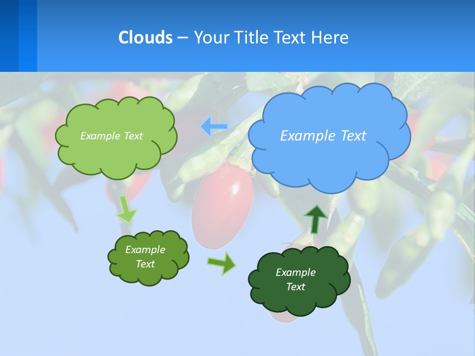 Antiaging Goji Barbarum PowerPoint Template