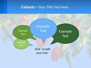 Antiaging Goji Barbarum PowerPoint Template