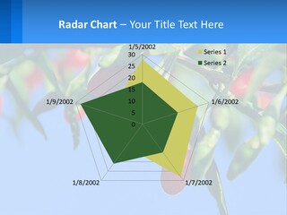 Antiaging Goji Barbarum PowerPoint Template