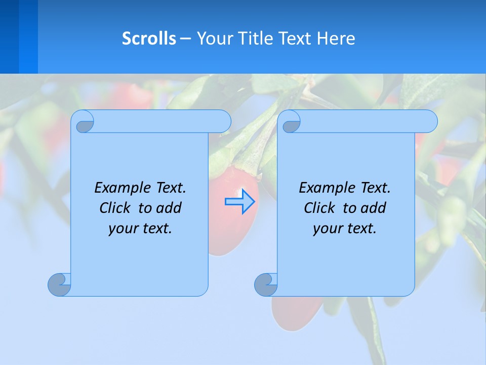 Antiaging Goji Barbarum PowerPoint Template