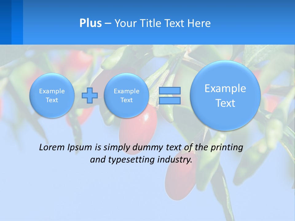 Antiaging Goji Barbarum PowerPoint Template