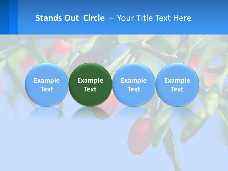 Antiaging Goji Barbarum PowerPoint Template