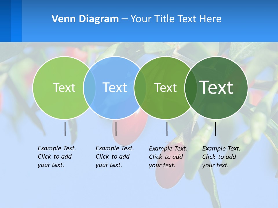 Antiaging Goji Barbarum PowerPoint Template