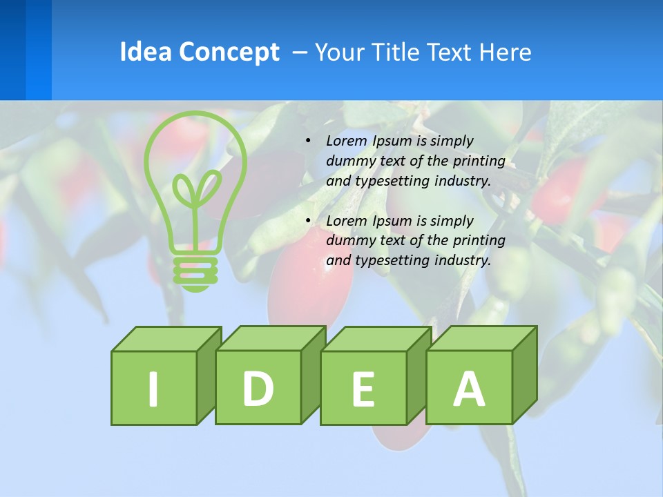 Antiaging Goji Barbarum PowerPoint Template