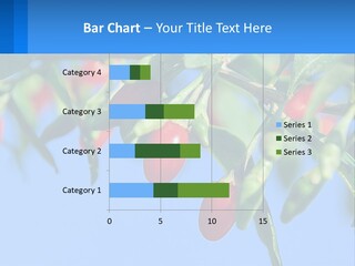 Antiaging Goji Barbarum PowerPoint Template