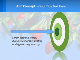 Antiaging Goji Barbarum PowerPoint Template
