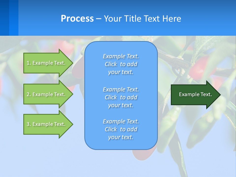Antiaging Goji Barbarum PowerPoint Template