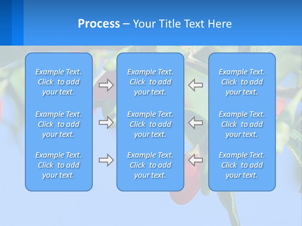 Antiaging Goji Barbarum PowerPoint Template