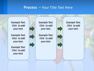 Antiaging Goji Barbarum PowerPoint Template