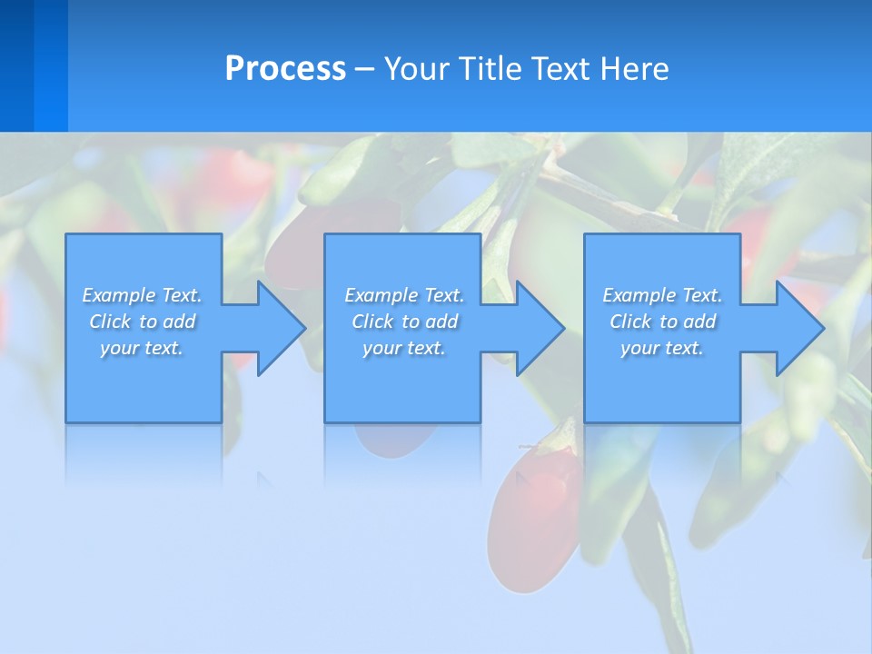 Antiaging Goji Barbarum PowerPoint Template