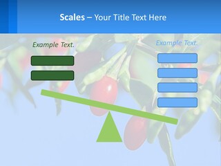 Antiaging Goji Barbarum PowerPoint Template