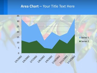 Antiaging Goji Barbarum PowerPoint Template
