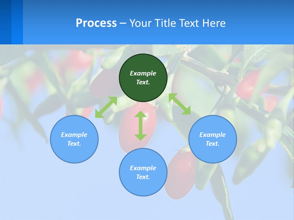 Antiaging Goji Barbarum PowerPoint Template