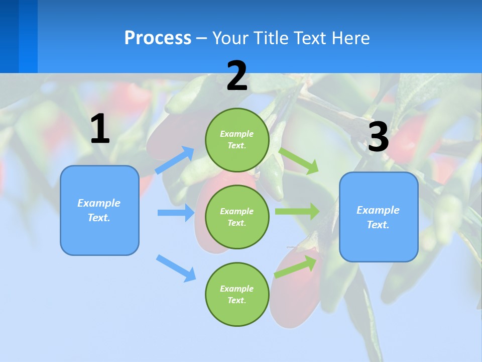 Antiaging Goji Barbarum PowerPoint Template