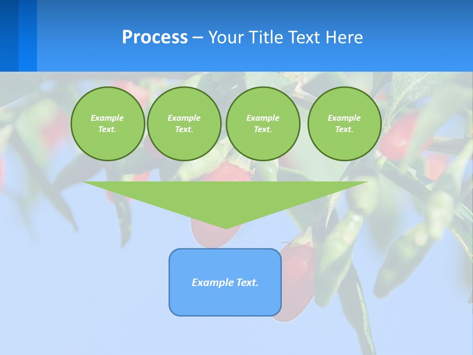 Antiaging Goji Barbarum PowerPoint Template