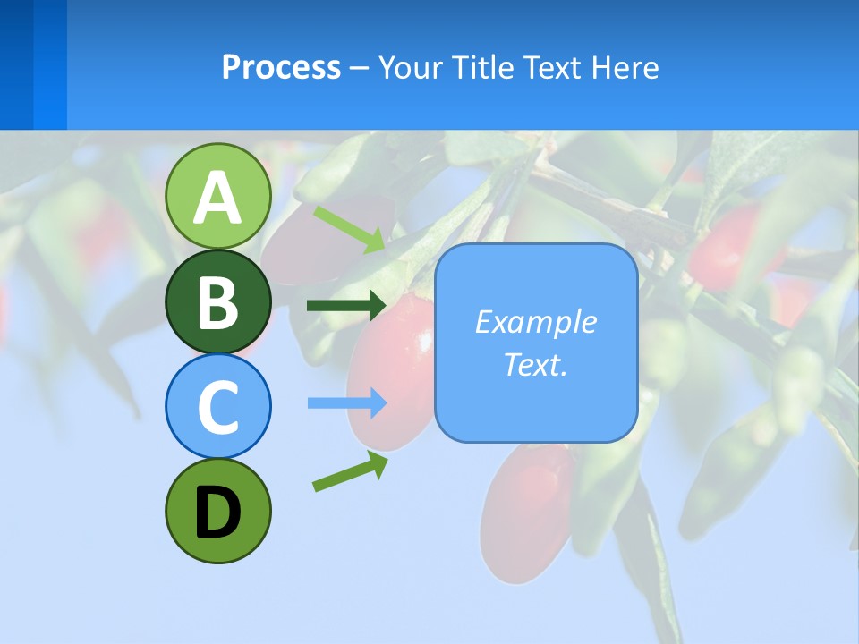 Antiaging Goji Barbarum PowerPoint Template
