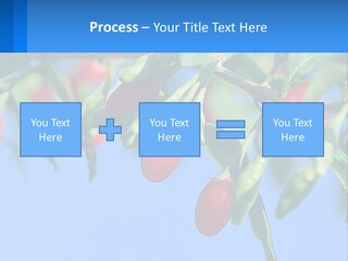 Antiaging Goji Barbarum PowerPoint Template
