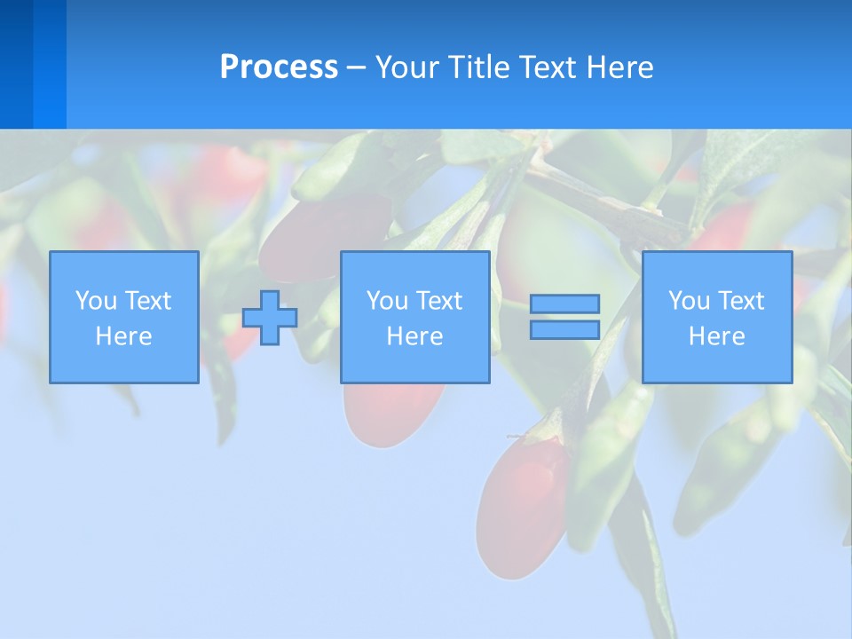 Antiaging Goji Barbarum PowerPoint Template