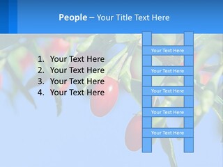 Antiaging Goji Barbarum PowerPoint Template