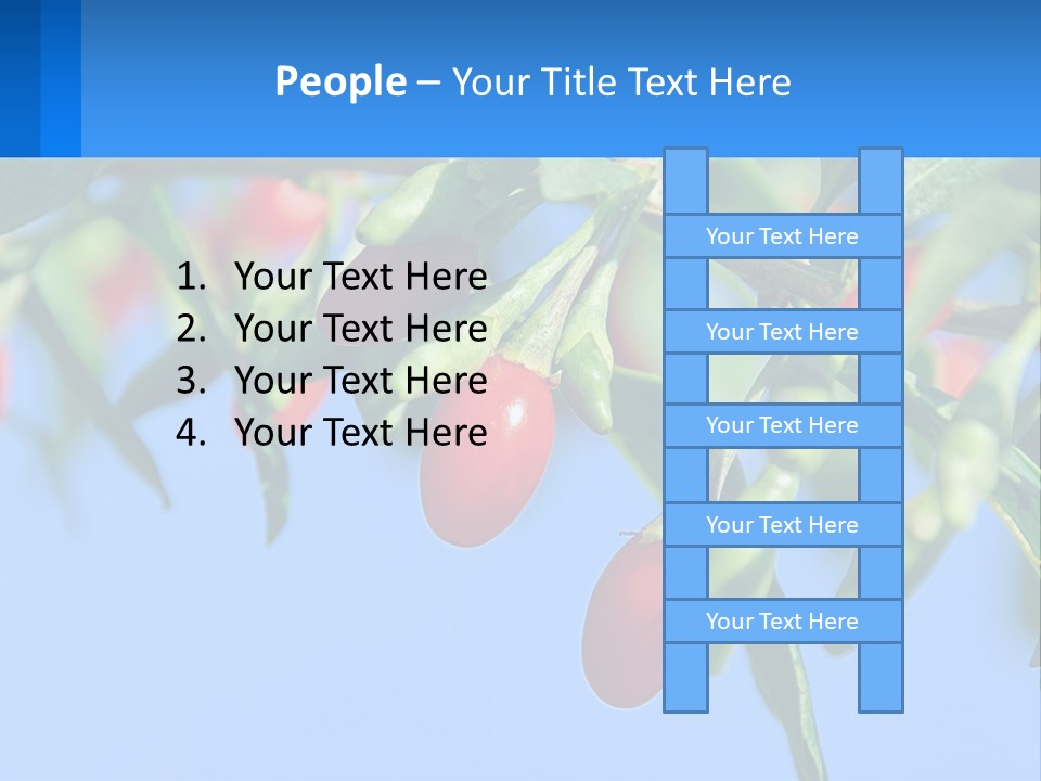 Antiaging Goji Barbarum PowerPoint Template