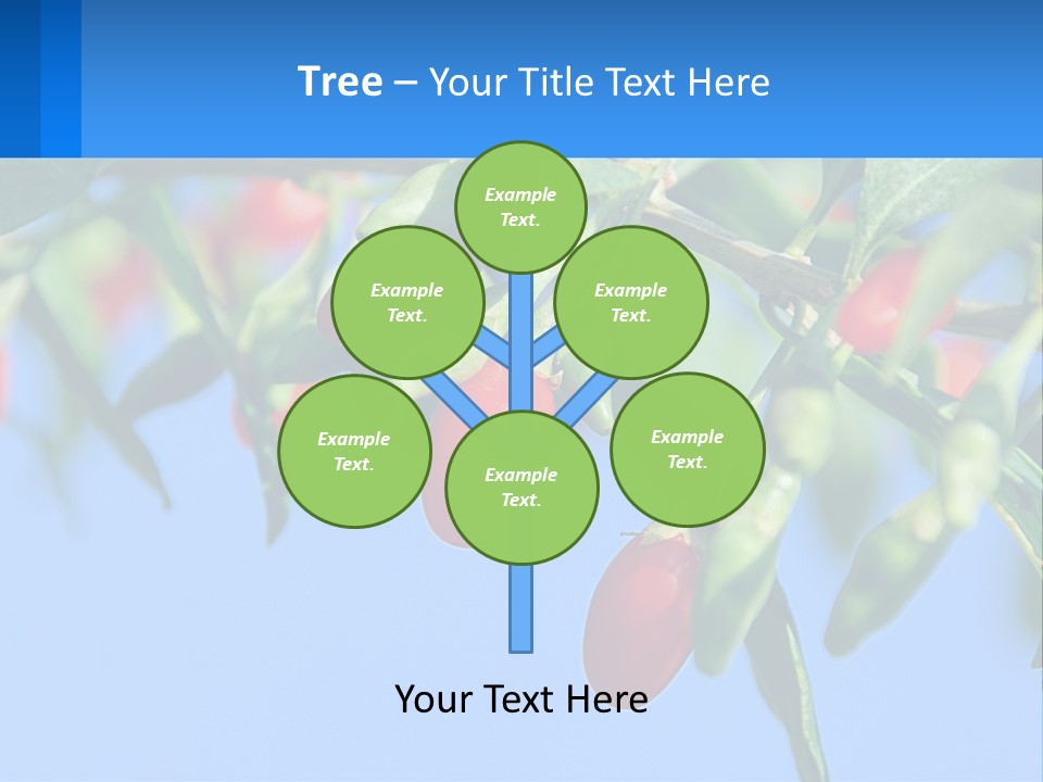 Antiaging Goji Barbarum PowerPoint Template