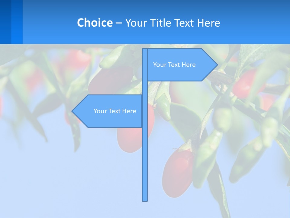 Antiaging Goji Barbarum PowerPoint Template