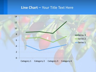 Antiaging Goji Barbarum PowerPoint Template