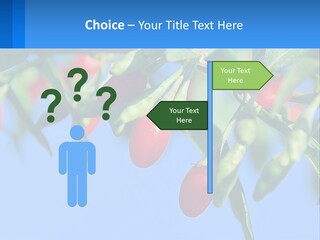 Antiaging Goji Barbarum PowerPoint Template