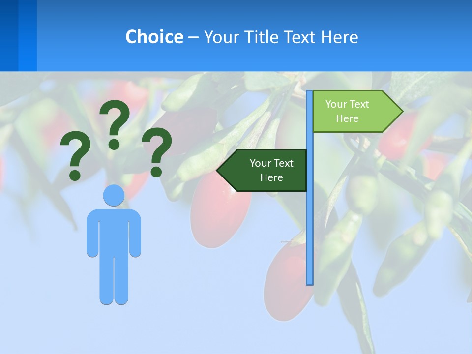 Antiaging Goji Barbarum PowerPoint Template