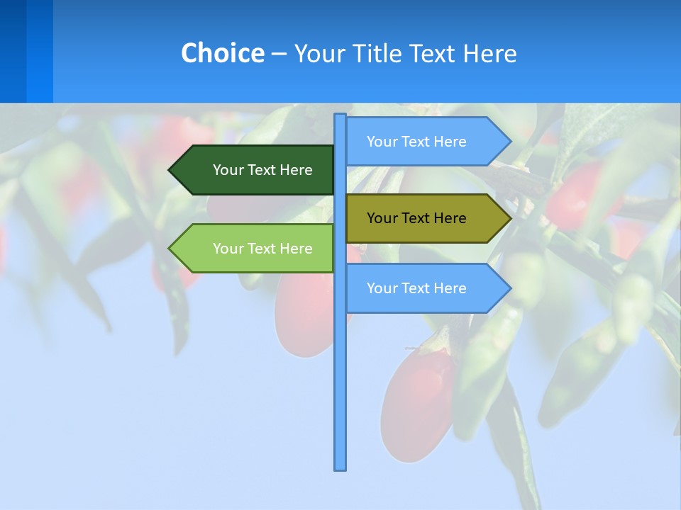 Antiaging Goji Barbarum PowerPoint Template
