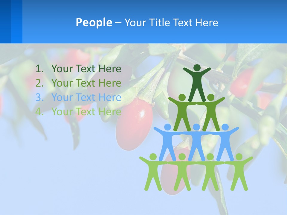 Antiaging Goji Barbarum PowerPoint Template