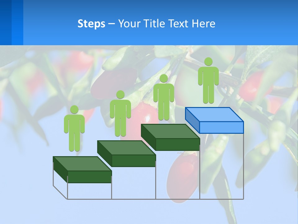 Antiaging Goji Barbarum PowerPoint Template