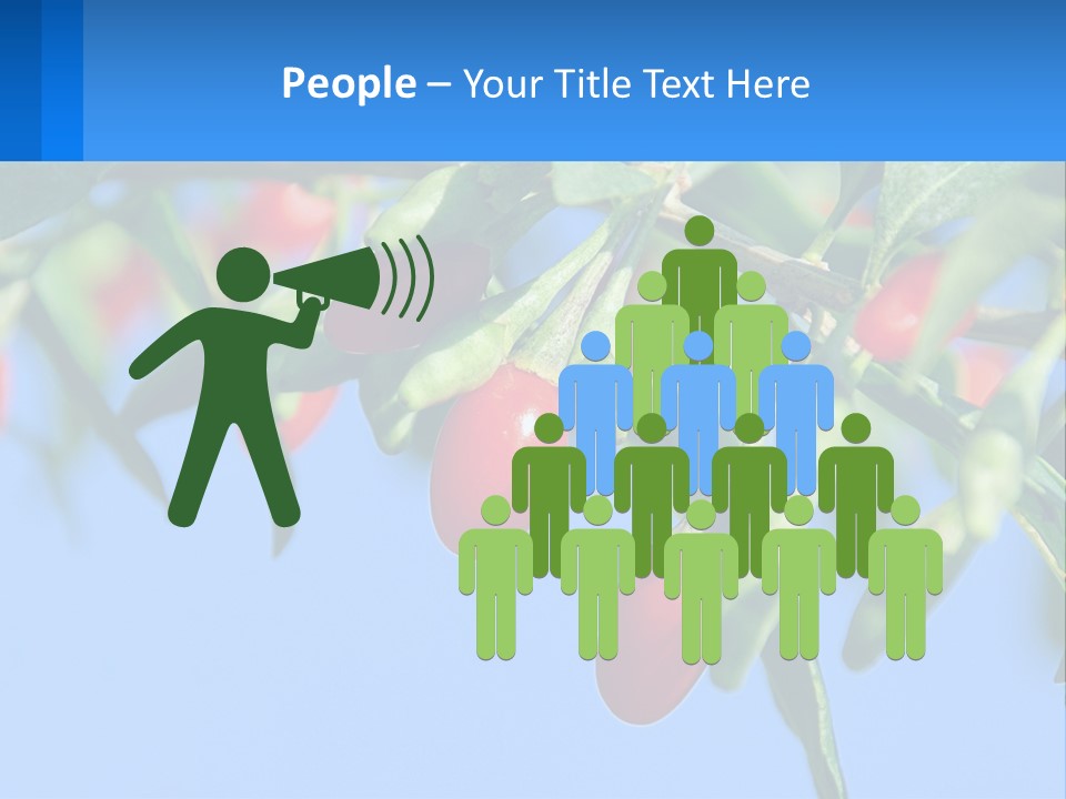 Antiaging Goji Barbarum PowerPoint Template