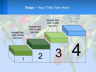 Antiaging Goji Barbarum PowerPoint Template
