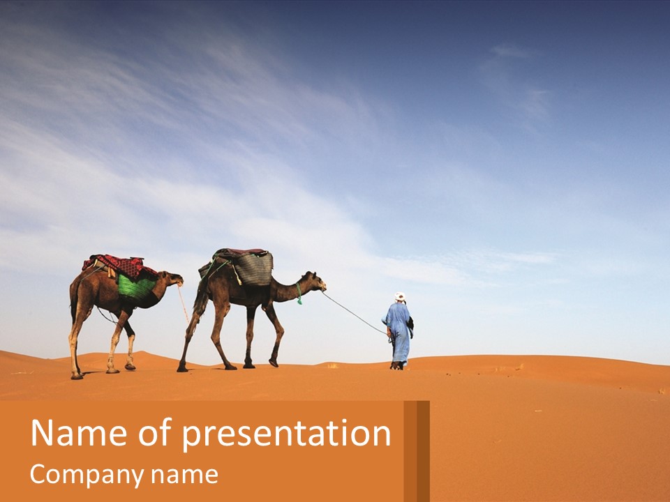 Travel Cameltrain Nomad PowerPoint Template