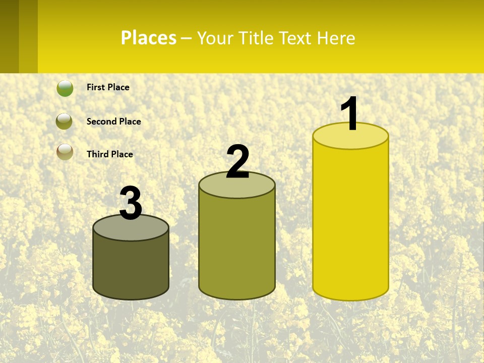 View Landscape Macro PowerPoint Template