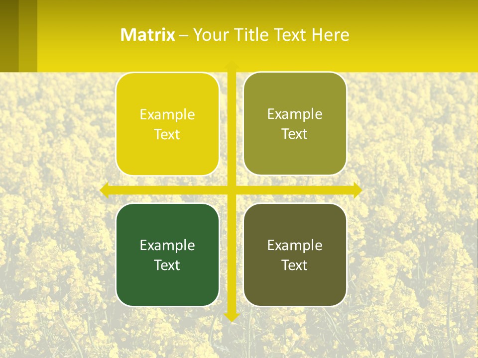 View Landscape Macro PowerPoint Template