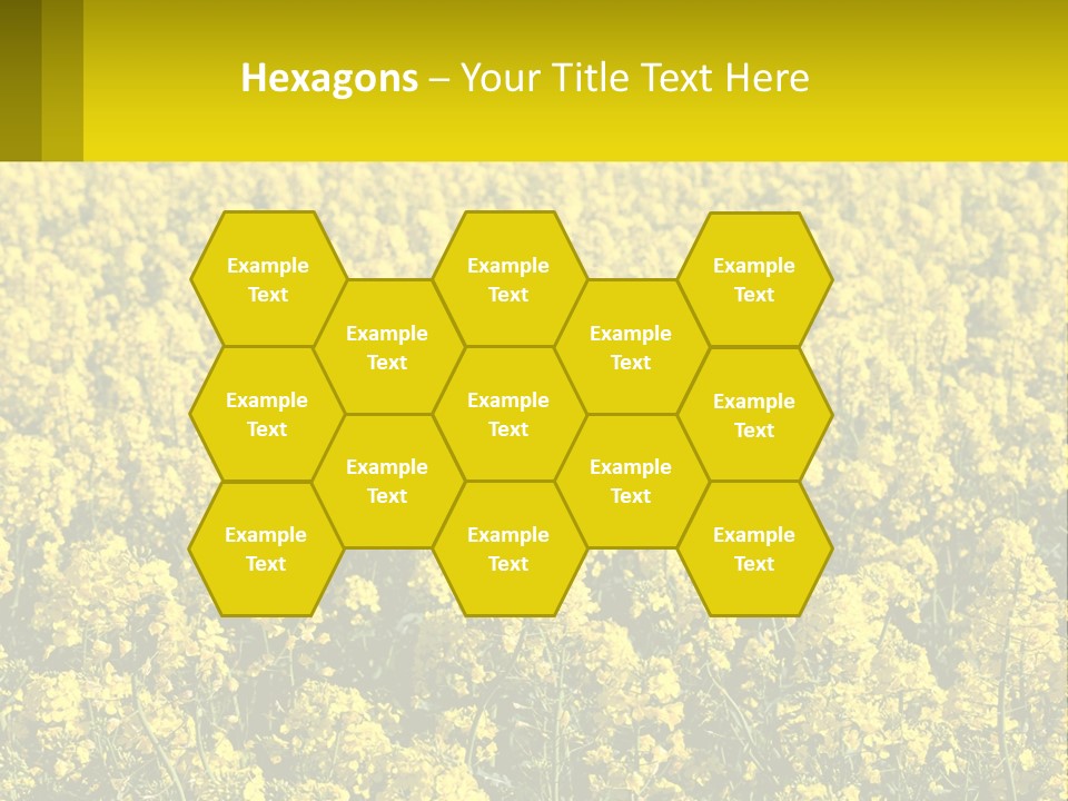 View Landscape Macro PowerPoint Template