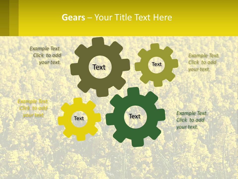 View Landscape Macro PowerPoint Template