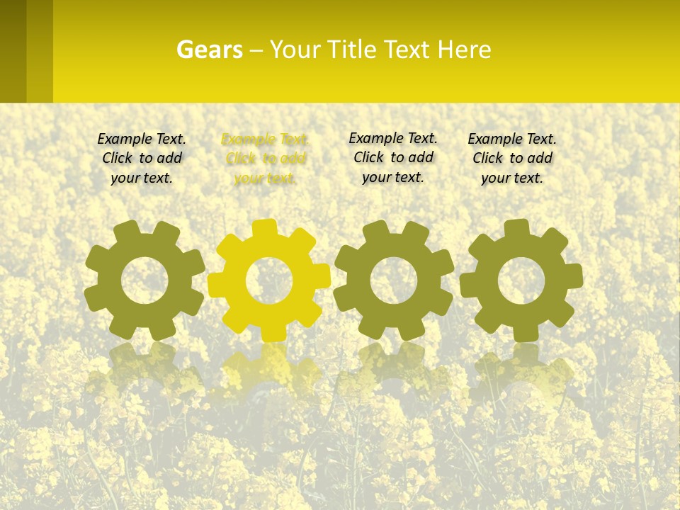 View Landscape Macro PowerPoint Template