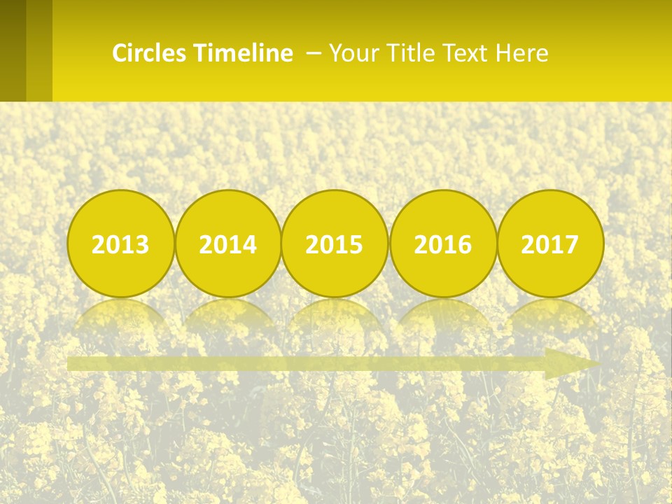 View Landscape Macro PowerPoint Template