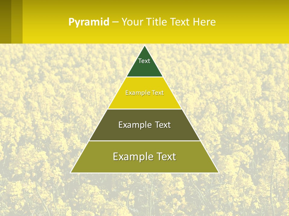 View Landscape Macro PowerPoint Template