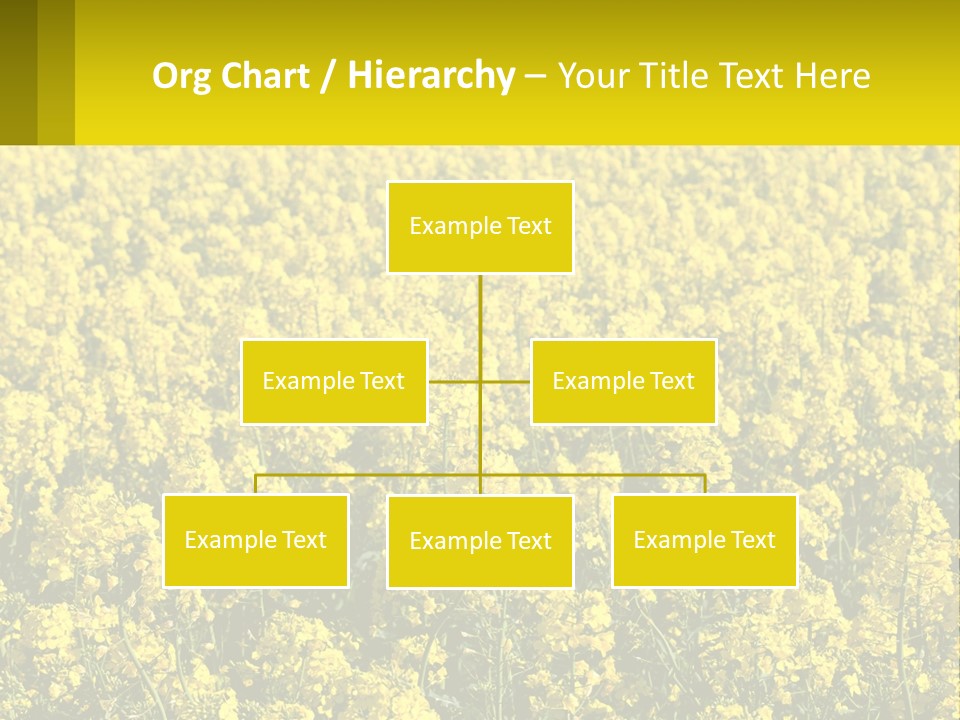 View Landscape Macro PowerPoint Template