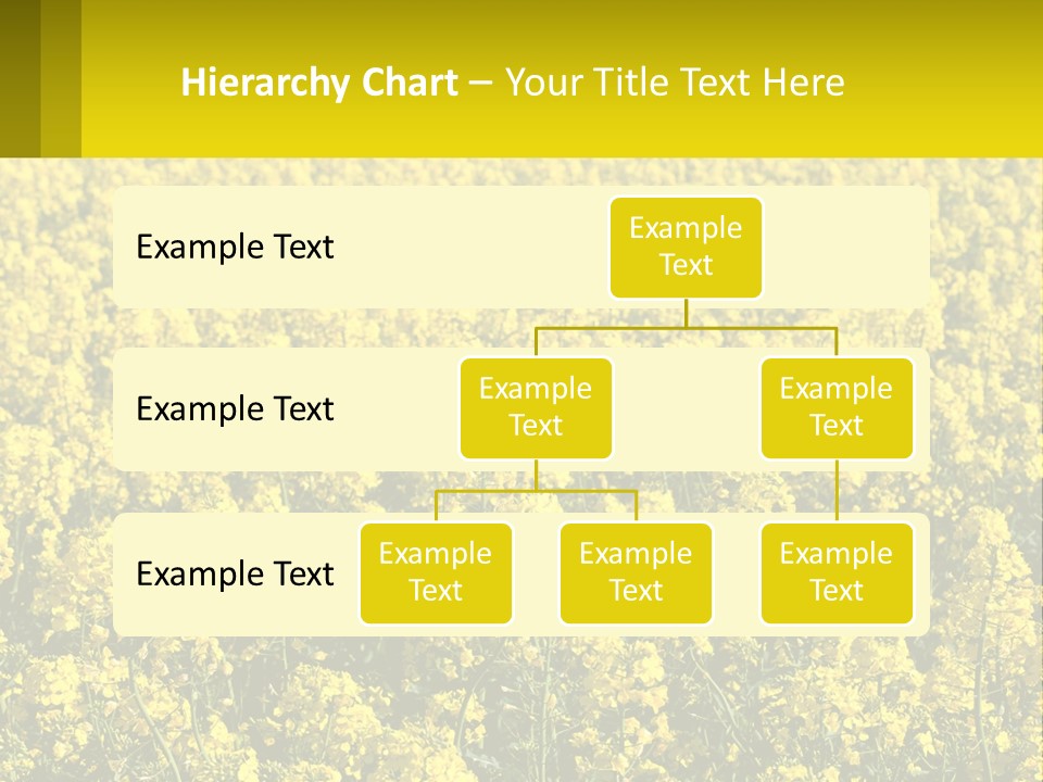 View Landscape Macro PowerPoint Template
