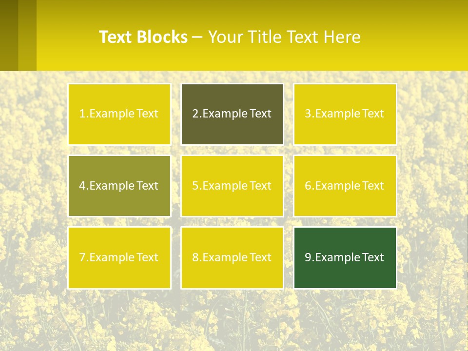 View Landscape Macro PowerPoint Template