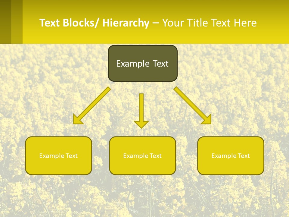 View Landscape Macro PowerPoint Template