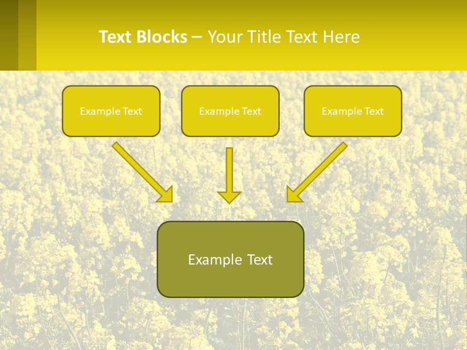 View Landscape Macro PowerPoint Template