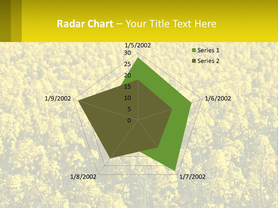 View Landscape Macro PowerPoint Template