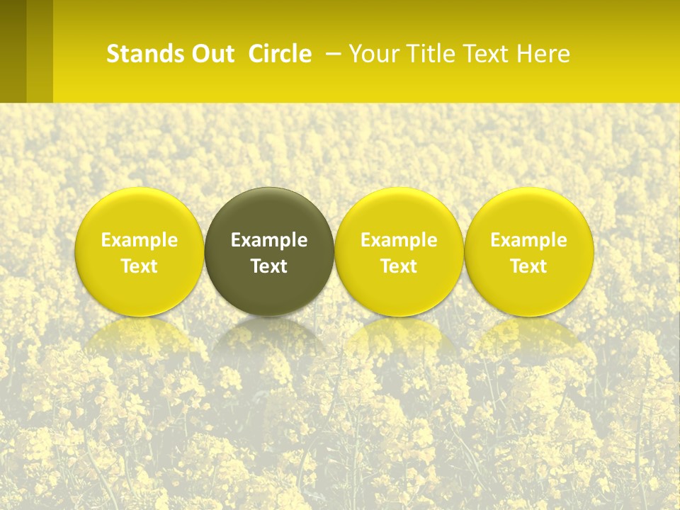 View Landscape Macro PowerPoint Template