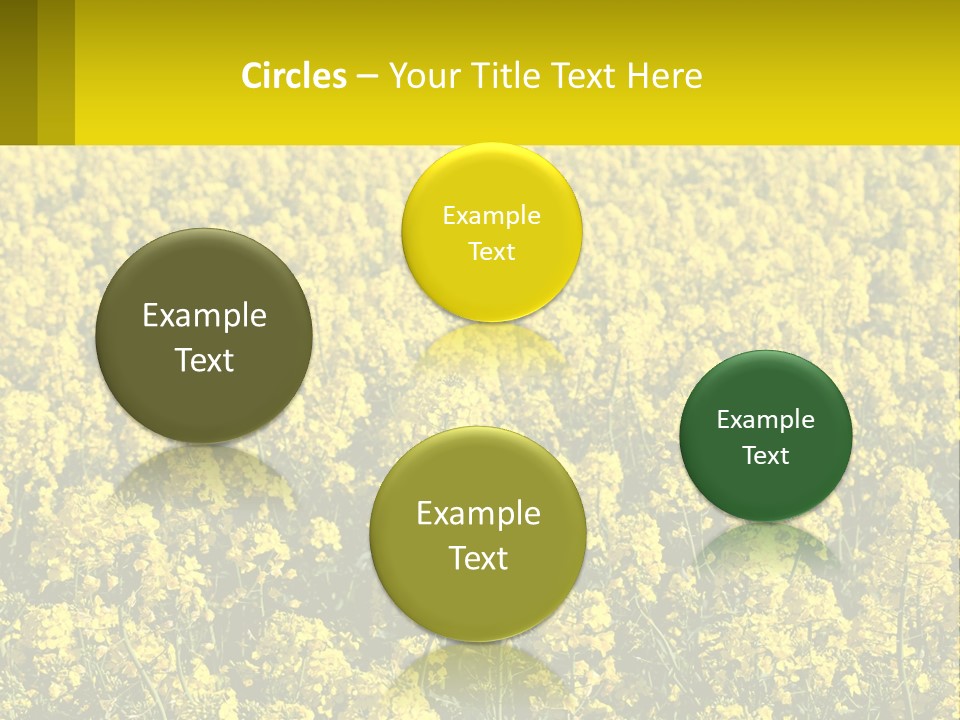 View Landscape Macro PowerPoint Template